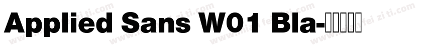 Applied Sans W01 Bla字体转换